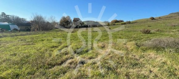 11900m² Land in Castel San Pietro Terme, Italy No. 283447 20