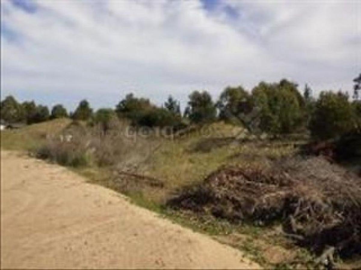 Terreno en Mar del Plata, Argentina No. 119330