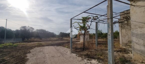 3 rooms Villa in Francavilla Fontana, Italy No. 17471 20