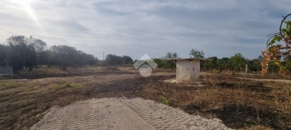 3 rooms Villa in Francavilla Fontana, Italy No. 17471 23