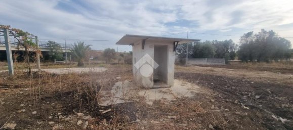 3 rooms Villa in Francavilla Fontana, Italy No. 17471 18