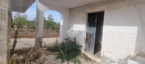 3 rooms Villa in Francavilla Fontana, Italy No. 17471 15