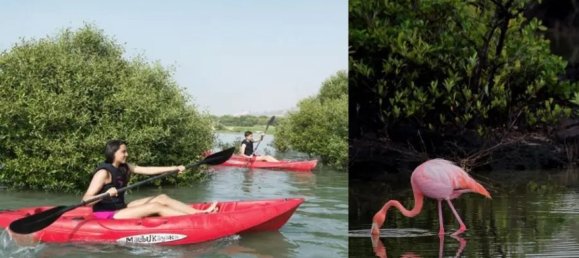 1 غرف نوم شقة في GATEWAY, Al Zorah, UAE رقم 63334 23