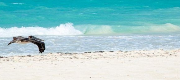 1 غرف نوم شقة في GATEWAY, Al Zorah, UAE رقم 63334 10