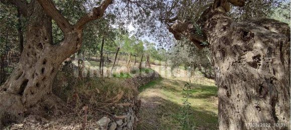 2 rooms House in Enna, Italy No. 355419 6