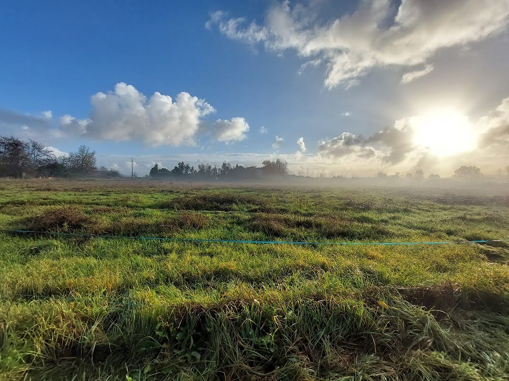  قطعة أرض في Port-Sainte-Foy-et-Ponchapt, France 1000متر مربع رقم 111908