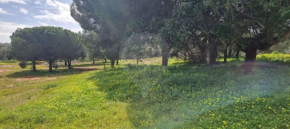 قطعة أرض في Almancil, Portugal 19350متر مربع رقم 75011 3