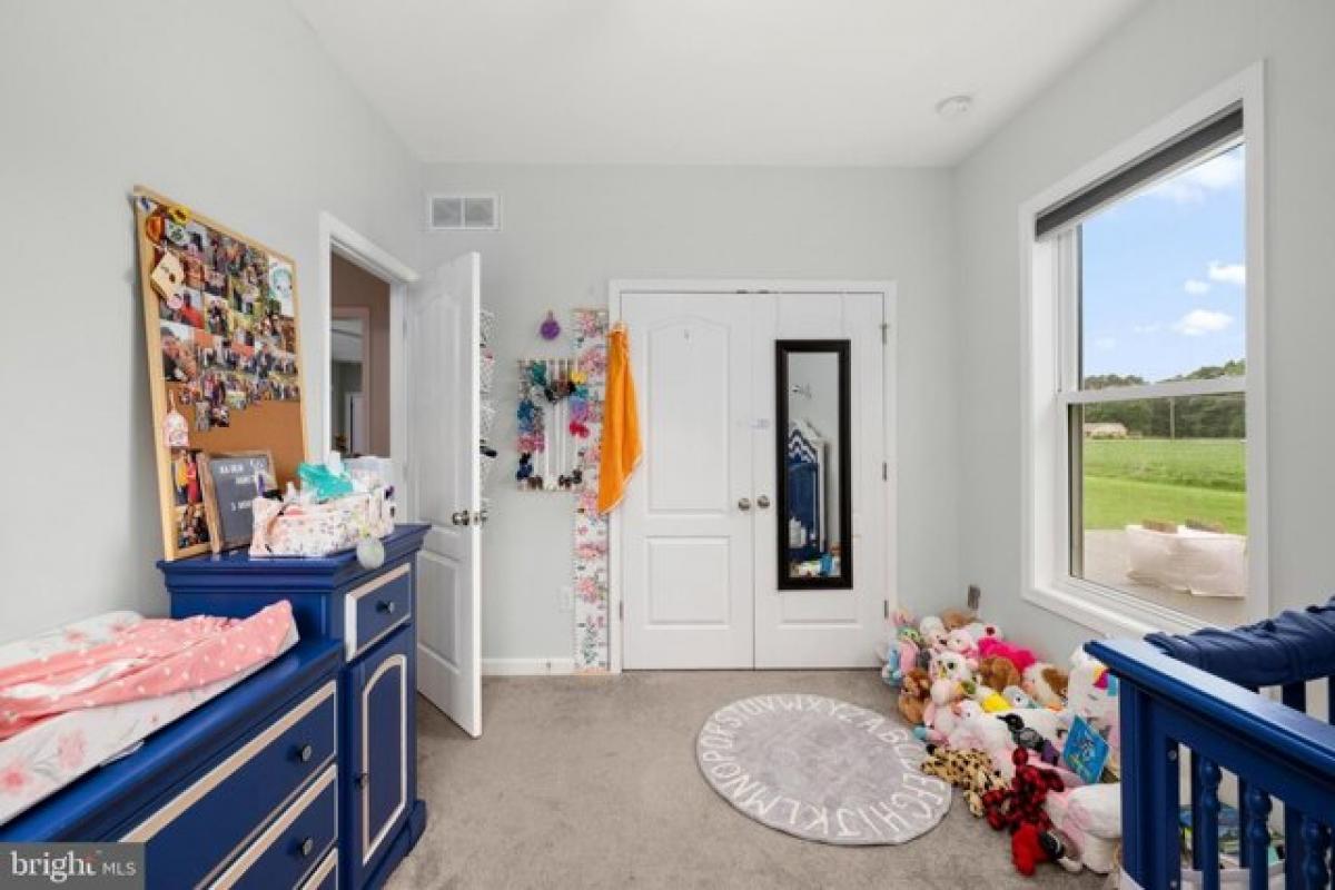 3 bedrooms House in Felton, USA No. 413391