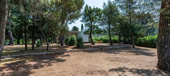 5-Zimmer Villa in Fasano, Italy, Nr. 259011 27