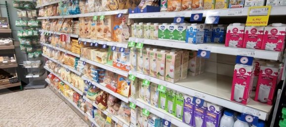 4-salle Propriété commerciale à Pontedera, Italy No. 24190 21