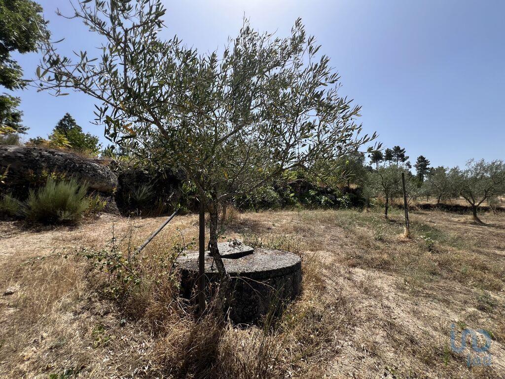 44527m² Land in Sernancelhe, Portugal No. 300742