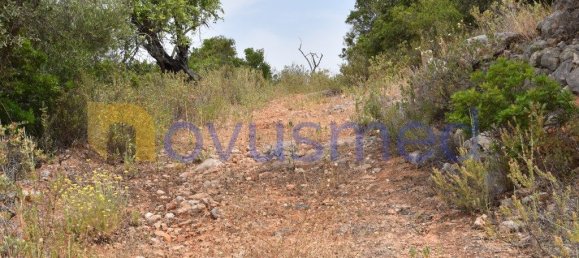  قطعة أرض في Paderne, Portugal 11600متر مربع رقم 199740 16