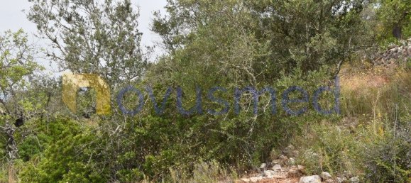  قطعة أرض في Paderne, Portugal 11600متر مربع رقم 199740 4