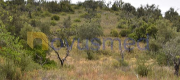  قطعة أرض في Paderne, Portugal 11600متر مربع رقم 199740 12