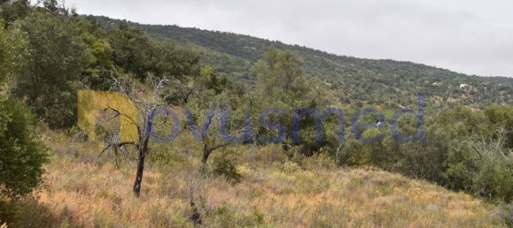  قطعة أرض في Paderne, Portugal 11600متر مربع رقم 199740 2