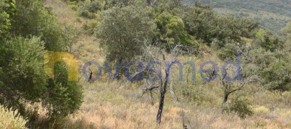  قطعة أرض في Paderne, Portugal 11600متر مربع رقم 199740 6