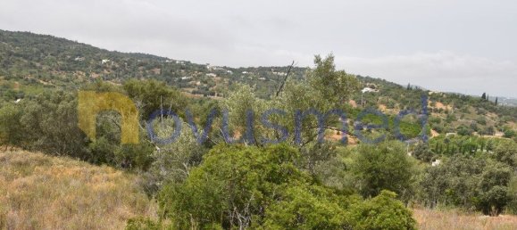  قطعة أرض في Paderne, Portugal 11600متر مربع رقم 199740 3