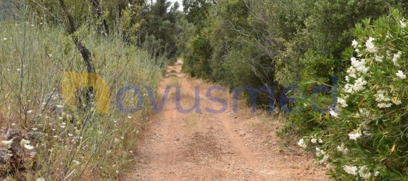  قطعة أرض في Paderne, Portugal 11600متر مربع رقم 199740 21