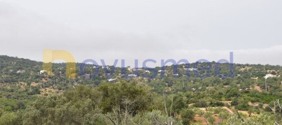  قطعة أرض في Paderne, Portugal 11600متر مربع رقم 199740 11