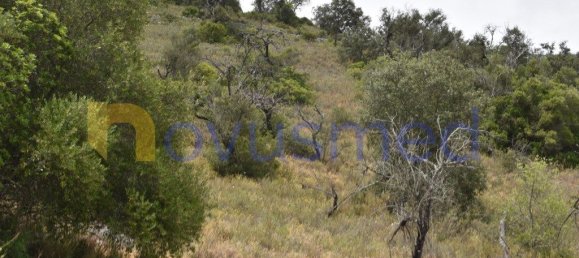  قطعة أرض في Paderne, Portugal 11600متر مربع رقم 199740 7