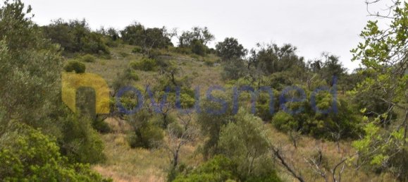  قطعة أرض في Paderne, Portugal 11600متر مربع رقم 199740 10