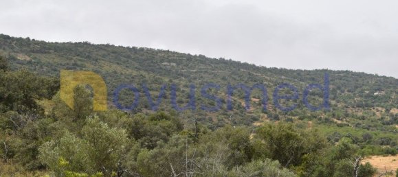  قطعة أرض في Paderne, Portugal 11600متر مربع رقم 199740 14