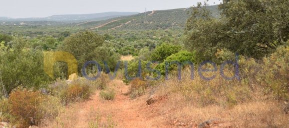  قطعة أرض في Paderne, Portugal 11600متر مربع رقم 199740 19