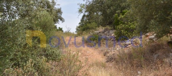  قطعة أرض في Paderne, Portugal 11600متر مربع رقم 199740 18