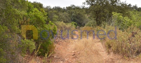  قطعة أرض في Paderne, Portugal 11600متر مربع رقم 199740 20