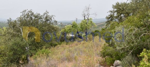  قطعة أرض في Paderne, Portugal 11600متر مربع رقم 199740 8