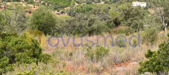  قطعة أرض في Paderne, Portugal 11600متر مربع رقم 199740 5