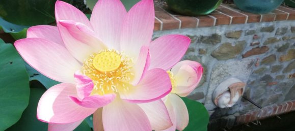 7 rooms House in San Casciano dei Bagni, Italy No. 40684 12