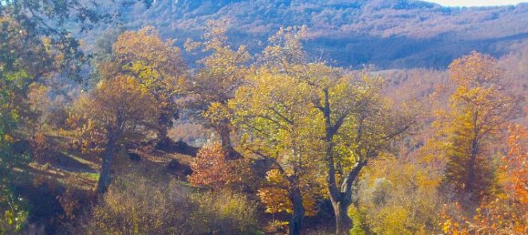 7 rooms House in San Casciano dei Bagni, Italy No. 40684 28