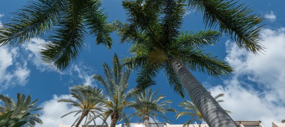 2 chambres Appartement à Estepona, Spain No. 138505 46