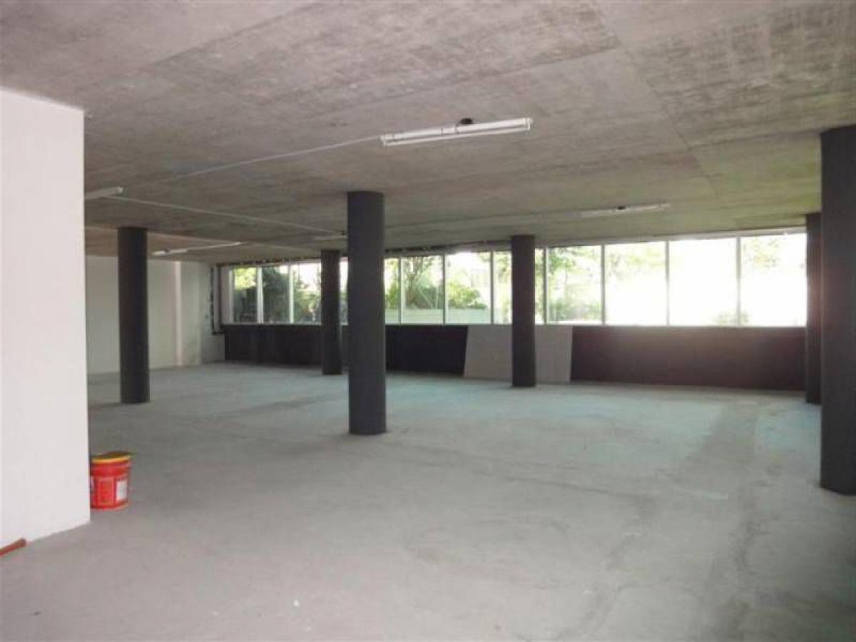 Büro in Vicente Lopez, Argentina 167m², Nr. 24944
