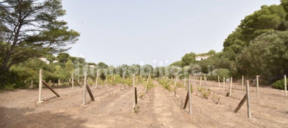 3 Schlafzimmer Villa in Sardinia, Italy, Nr. 333433 9