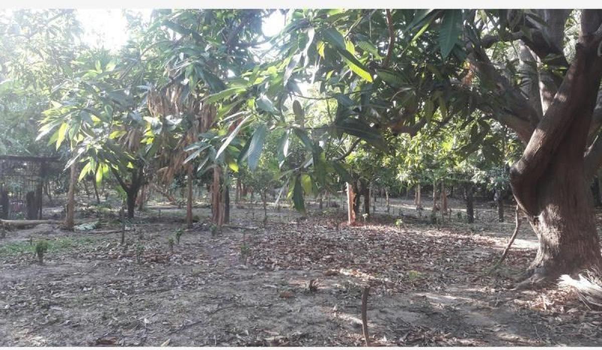 Terrain à Guadalajara de Buga, Colombia No. 387