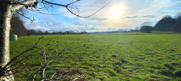 4غرفة منزل في Schleswig-Holstein, Germany رقم 18878 13