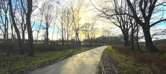 4غرفة منزل في Schleswig-Holstein, Germany رقم 18878 14