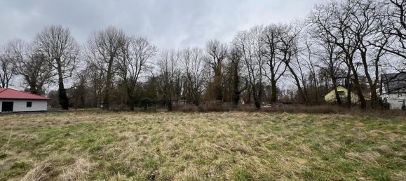  Land in Potsdam-Mittelmark, Germany No. 5900 8