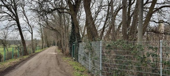  Land in Potsdam-Mittelmark, Germany No. 5900 3