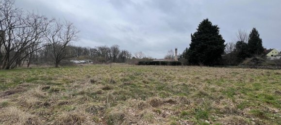  Land in Potsdam-Mittelmark, Germany No. 5900 6