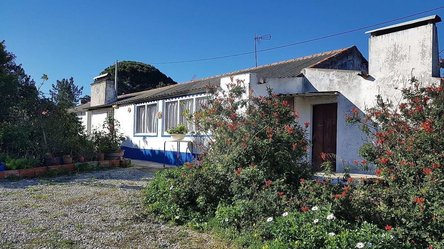 4 chambres Maison à Grandola, Portugal No. 321842