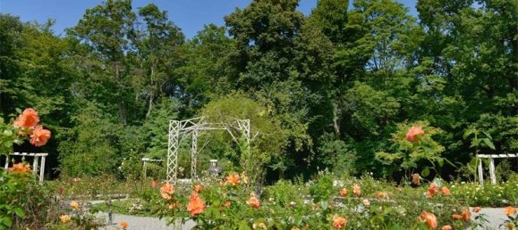 4غرفة شقة في Kreuzberg, Germany رقم 290086 9