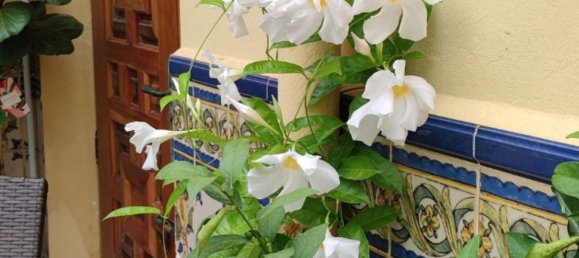 8 Schlafzimmer Haus in Sanet Y Negrals, Spain, Nr. 148857 40