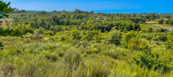  قطعة أرض في Mangualde, Portugal رقم 65262 2