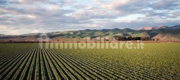 5 bedrooms House in Pachino, Italy No. 269859 4