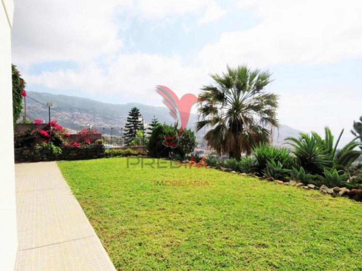 3 chambres house à vendre à Funchal, Madeira, Portugal № 572