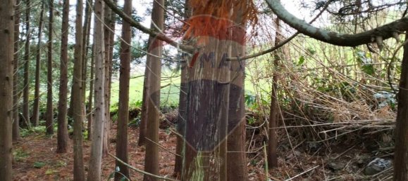 Grundstück in Ribeira Grande, Portugal 3340m², Nr. 88874 10