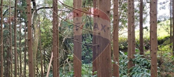 Grundstück in Ribeira Grande, Portugal 3340m², Nr. 88874 2